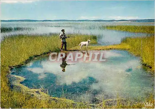 Moderne Karte Dans les Landes le Chasseur du Marais Chasse Peche
