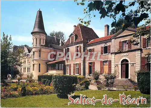 Cartes postales moderne Salies de Bearn (Pyrenees Atlantiques)