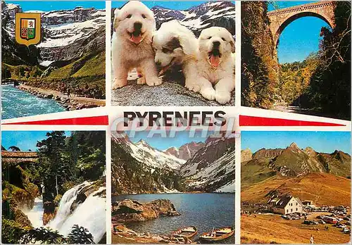 Cartes postales moderne Hautes Pyrenees Gavarnie Pont Napoleon Chiens