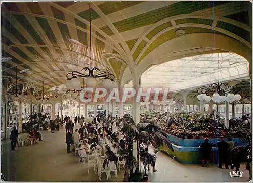 Cartes postales moderne Vichy (Allier) Reine des Villes d'Eaux