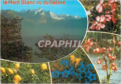 Cartes postales moderne Le Mont Saleve (Haute Savoie) Panorama sur la Chaine du Mont Blanc
