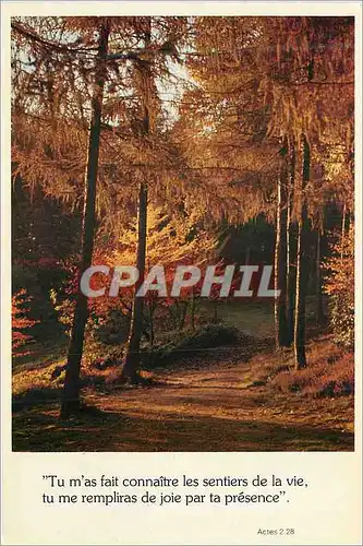 Cartes postales moderne Tu m'as fait Connaitre les Sentiers de la Vie