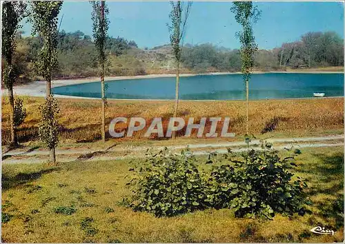 Cartes postales moderne Camiers (P de C) l'Etang du Roi