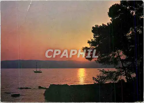 Moderne Karte De la Loire a la Vendee Coucher de Soleil sur les Pins