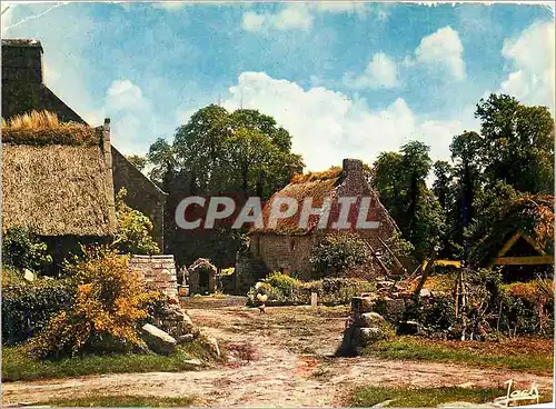 Cartes postales moderne Couleurs de Bretagne Chaumiere Breton