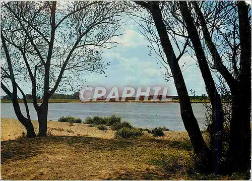 Cartes postales moderne Vallee de la Loire