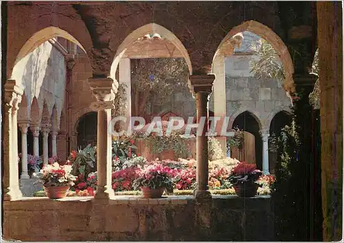 Cartes postales moderne Frejus Le Cloitre