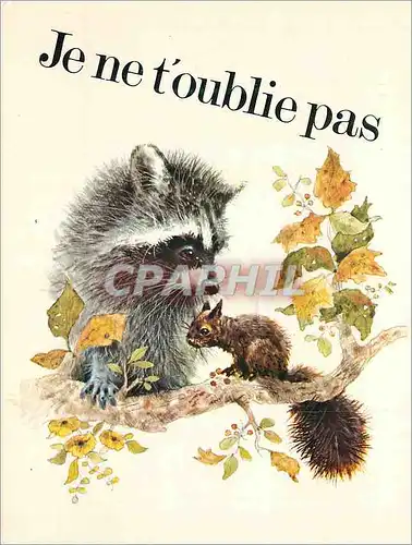Cartes postales moderne Je ne t'Oublie pas Ecureuil Raton laveur