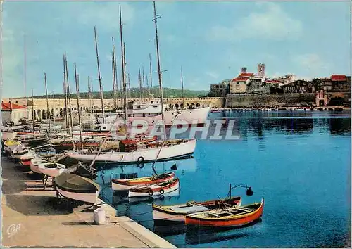 Moderne Karte Antibes Le Port et la Vieille ville Bateaux