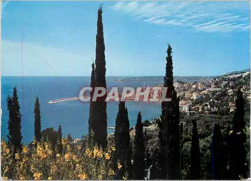 Cartes postales moderne Les Sites Merveilleux de la Cote d'Azur Menton (A M) Vue generale sur la ville Au fond le Cap Ma