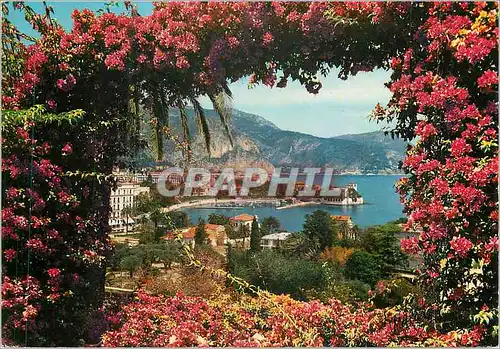 Moderne Karte La Cote d'Azur Beaulieu sur Mer La Baie et le Ville Kerylos