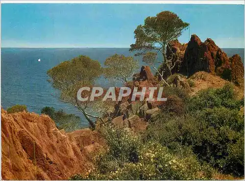 Cartes postales moderne Cote d'Azur La Corniche d'Or