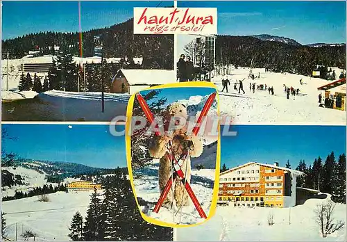Cartes postales moderne Jura Pittoresque Ski Ours