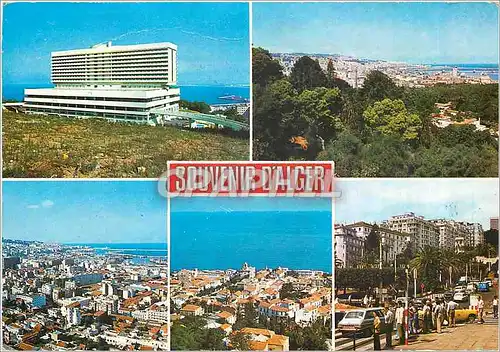 Cartes postales moderne Souvenir d'Algere
