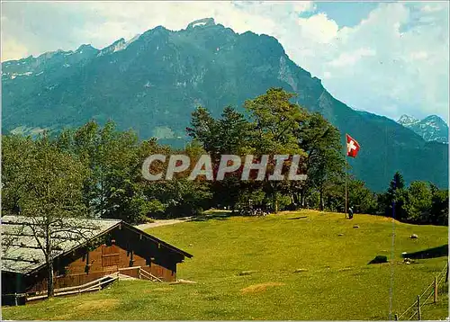 Cartes postales moderne Rutliwiese mit Rophaien