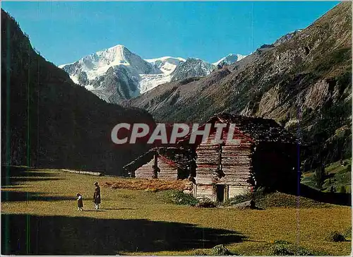 Cartes postales moderne Paysage au Val d'Herens Pigne d'Arolla Mt Blanc de Cheilon