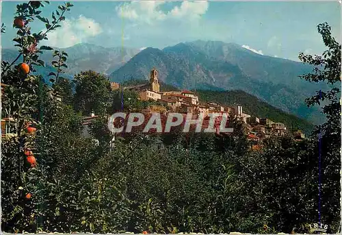 Cartes postales moderne Le Roussillon Vernet Les Bains La Station au pied du Canigou