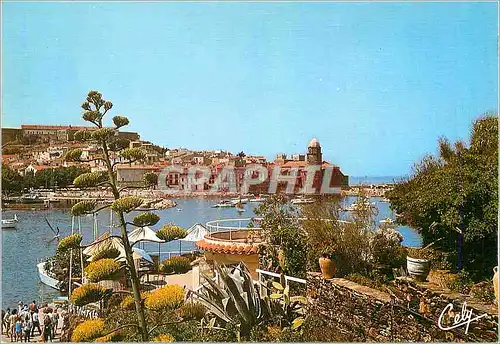 Cartes postales moderne Collioure