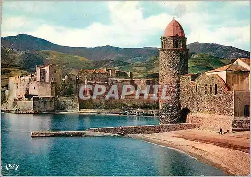 Cartes postales moderne Collioure (Pyrenees Orientales) Joyau de la Cote Vermeille L'Eglise et le chateaux des Templiers