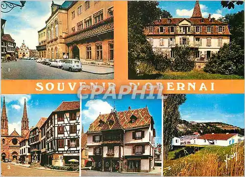 Cartes postales moderne Obernai (Bas Rhin) L'Alsce Hotel de ville et son Balcon fleuri