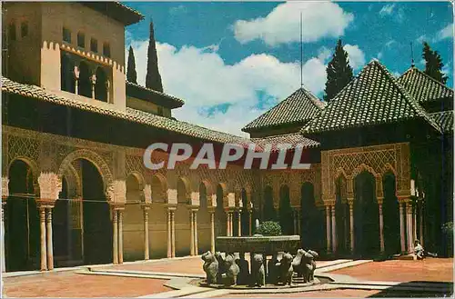 Cartes postales moderne Granada Alhambra La cour aux lions