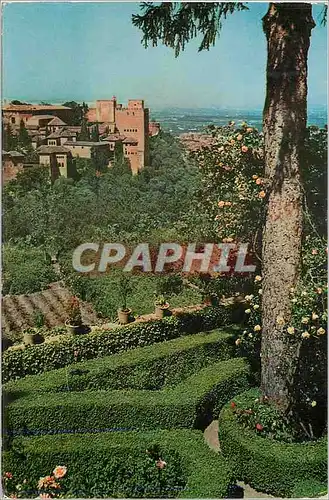 Cartes postales moderne Granada Jardins du Generalife Au fond la Alhambra