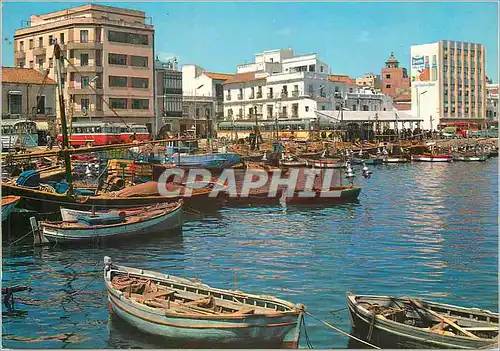 Cartes postales moderne Algeciras (Cediz) Port de Pecheurs Bateaux