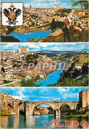 Cartes postales moderne Toledo Puante de San Martin Ane Donkey