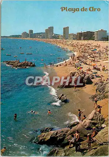 Cartes postales moderne Playa de Aro (Costa Brava Vue generale Plage)