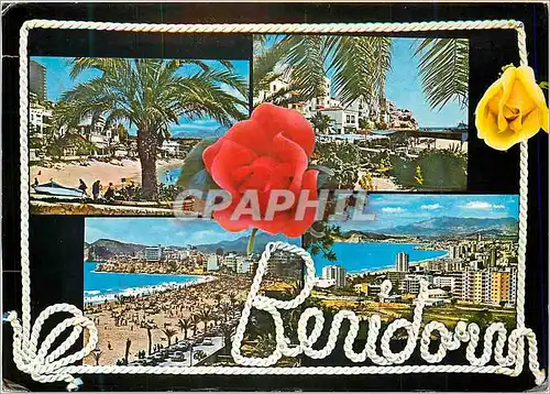 Cartes postales moderne Benidrom (Espana)