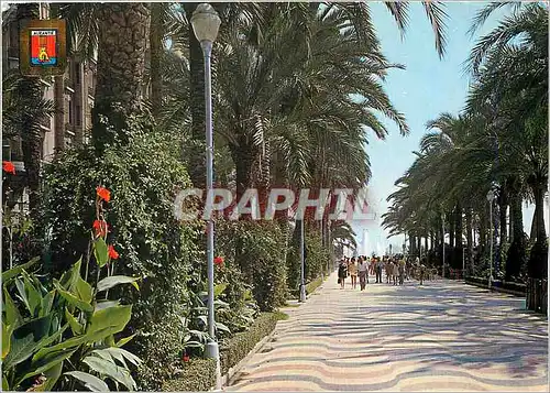 Moderne Karte Alicante Avenue de Mendez Esplanade d'Espagne