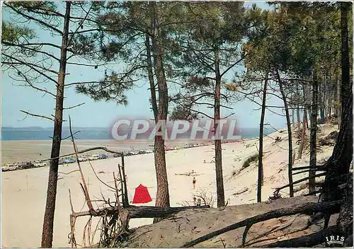 Moderne Karte Bassin d'Arcachon La plages des Abatilles