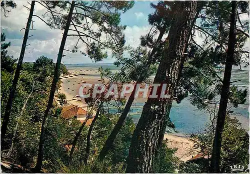 Moderne Karte Bassin d'Arcachon La pointe aux chevaux Grand Piquey