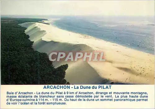 Cartes postales moderne Baie d'Arcachon (Gironde) La dune du Pilat Cote equitaine
