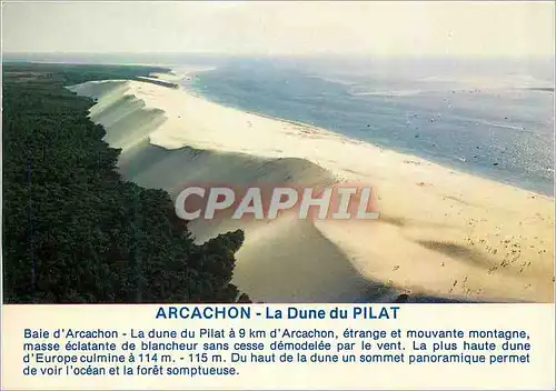 Moderne Karte Baie d'Arcachon (Gironde) La dune du Pilat Cote equitaine