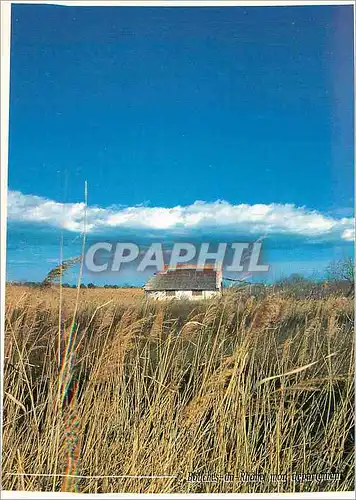 Cartes postales moderne Collection Bouches du Rhone La Camargue