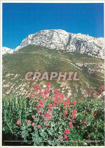 Cartes postales moderne Collection Bouches du Rhone Massif de la Sainte Baume