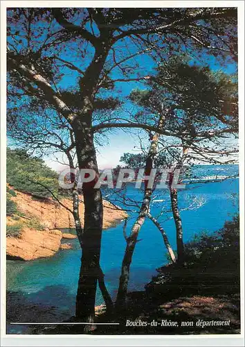 Cartes postales moderne Collection Bouches du Rhone L'ile Verte