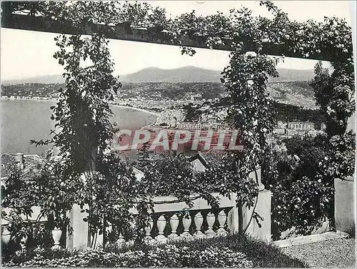 Moderne Karte Nice Vue prise entre les Pergolas fleuries