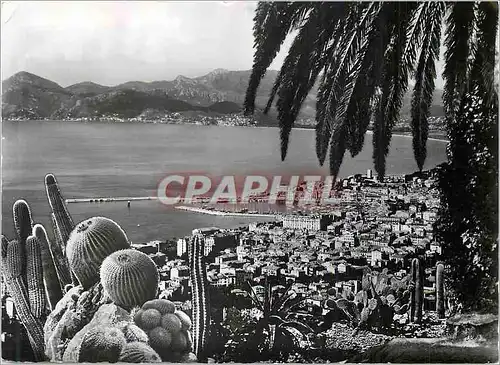 Cartes postales moderne Cannes Vue Generale La Cote d'Azur
