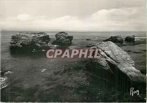 Cartes postales moderne Sion sur l'Ocean les cinq Pineaux