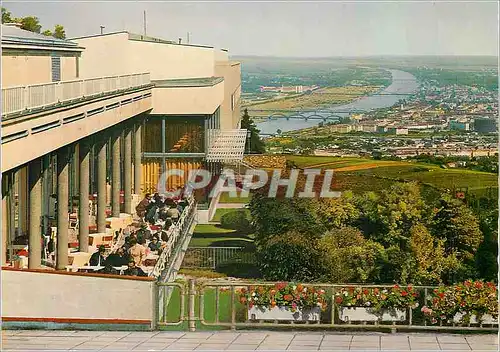 Cartes postales moderne Vienne vue de la terrasse de Kehlenberg