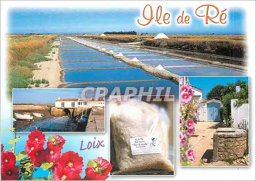 Cartes postales moderne Ile de Re Les marais salants l'ancien moulin a maree du passage la production locale une venelle