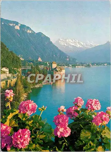 Cartes postales moderne Le Chateau de Chillon pres Montreux et les Dents du Midi