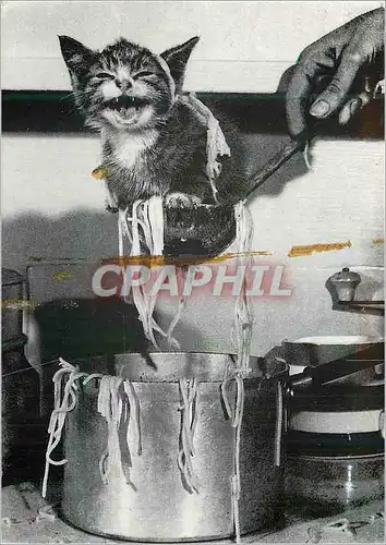 Cartes postales moderne Miao