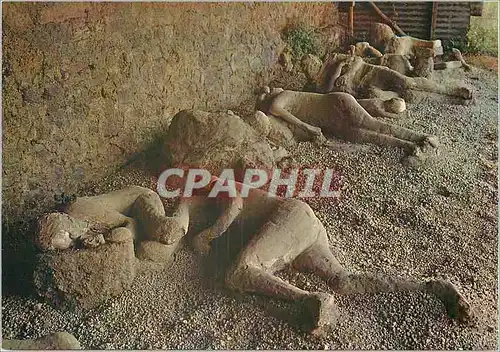 Cartes postales moderne Pompei Calques de fugitifs