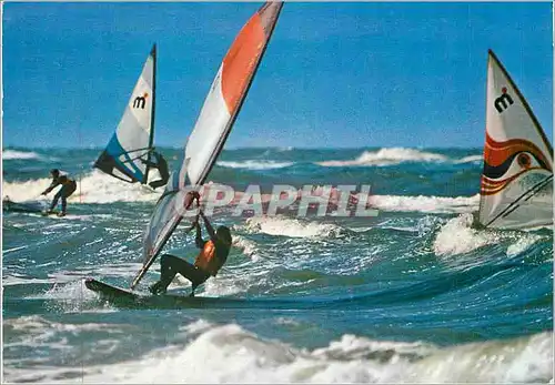 Cartes postales moderne Planche a voile