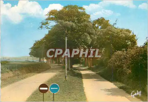 Cartes postales moderne Hillon (C du N) Avenue des Aubiers