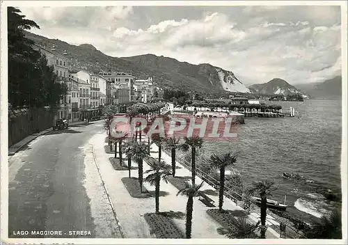 Cartes postales moderne Lago Maggiore Stresa