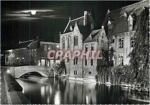 Cartes postales moderne Bruges la Nuit